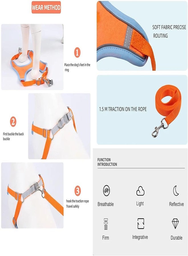 Pekos Cat Harness with Leash | Outdoor Anti-Breakaway Leash for Cats with Safety Reflective Strips | Harness for Adjustable 1.5m Belt for Cat for Small Size Cats (1 Psc_Multicolor) - Image 4